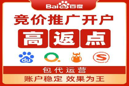 充值返点机制在社交平台的应用案例