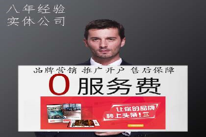 百度竞价广告的投放策略与成功案例分析